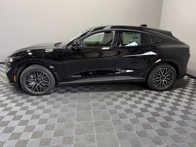 New 2026 Shadow Black Ford Premium image 6