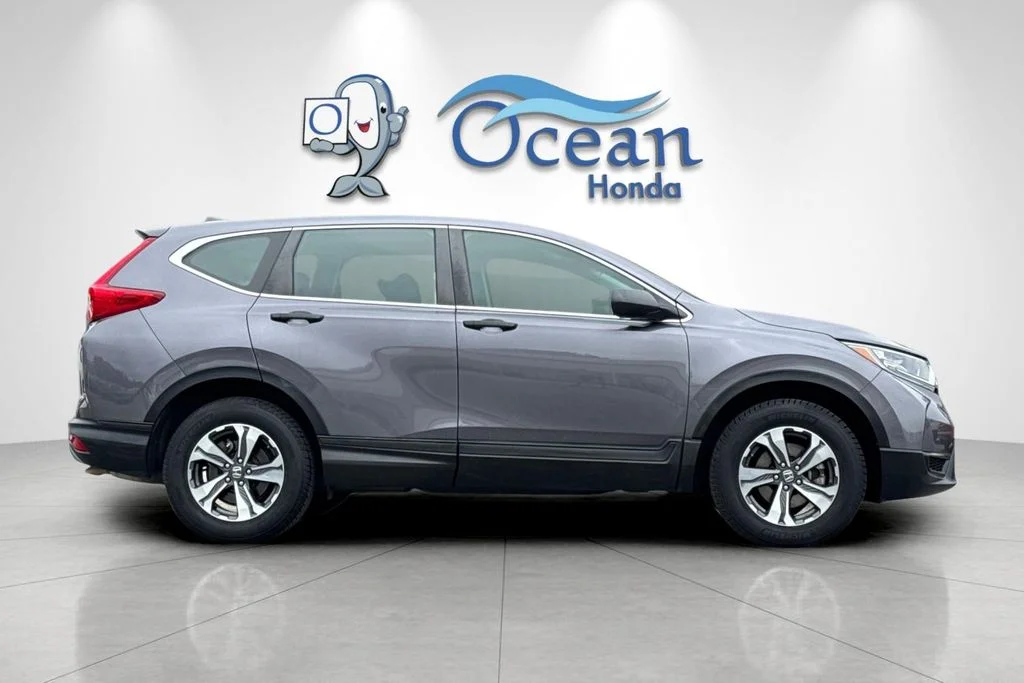 Used 2019 Gray Honda LX image 3