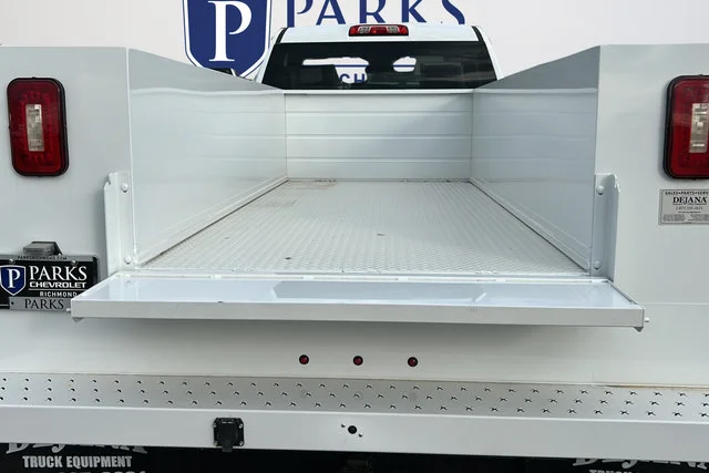 New 2025 Summit White Chevrolet Work Truck image 10