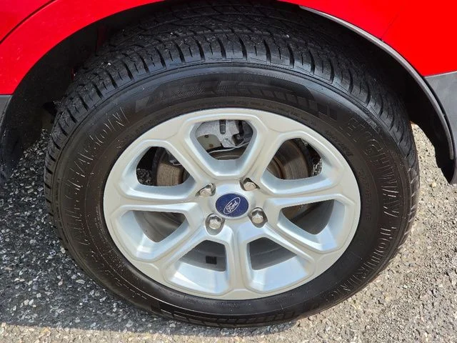 Used 2019 Race Red Ford SE image 15