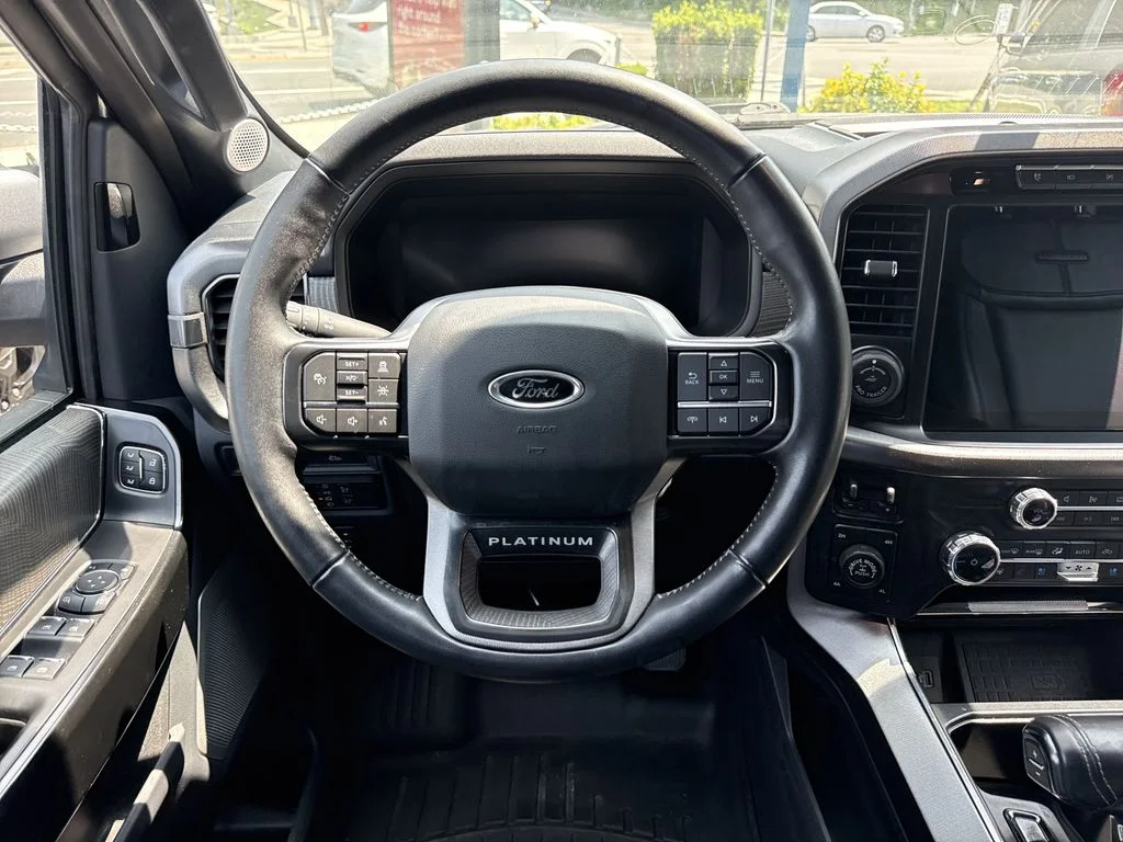 Used 2022 Silver Ford Platinum image 14
