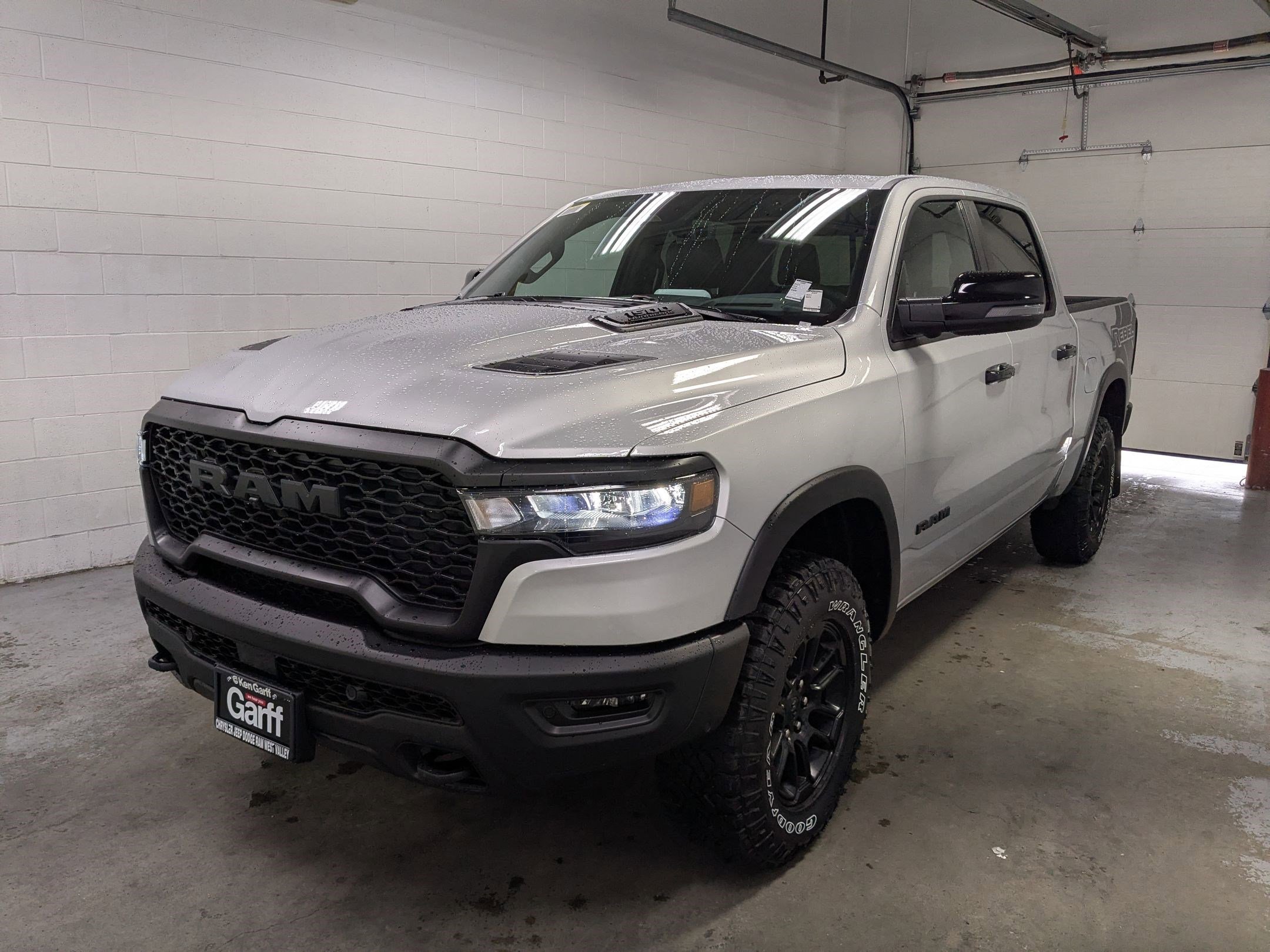 New 2026 Silver Zynith Exterior Paint RAM Rebel image 9