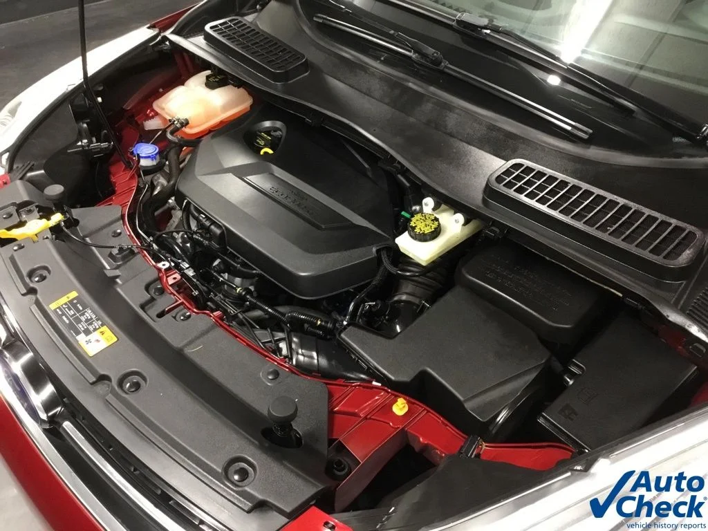 Used 2014 Red Ford Titanium image 43