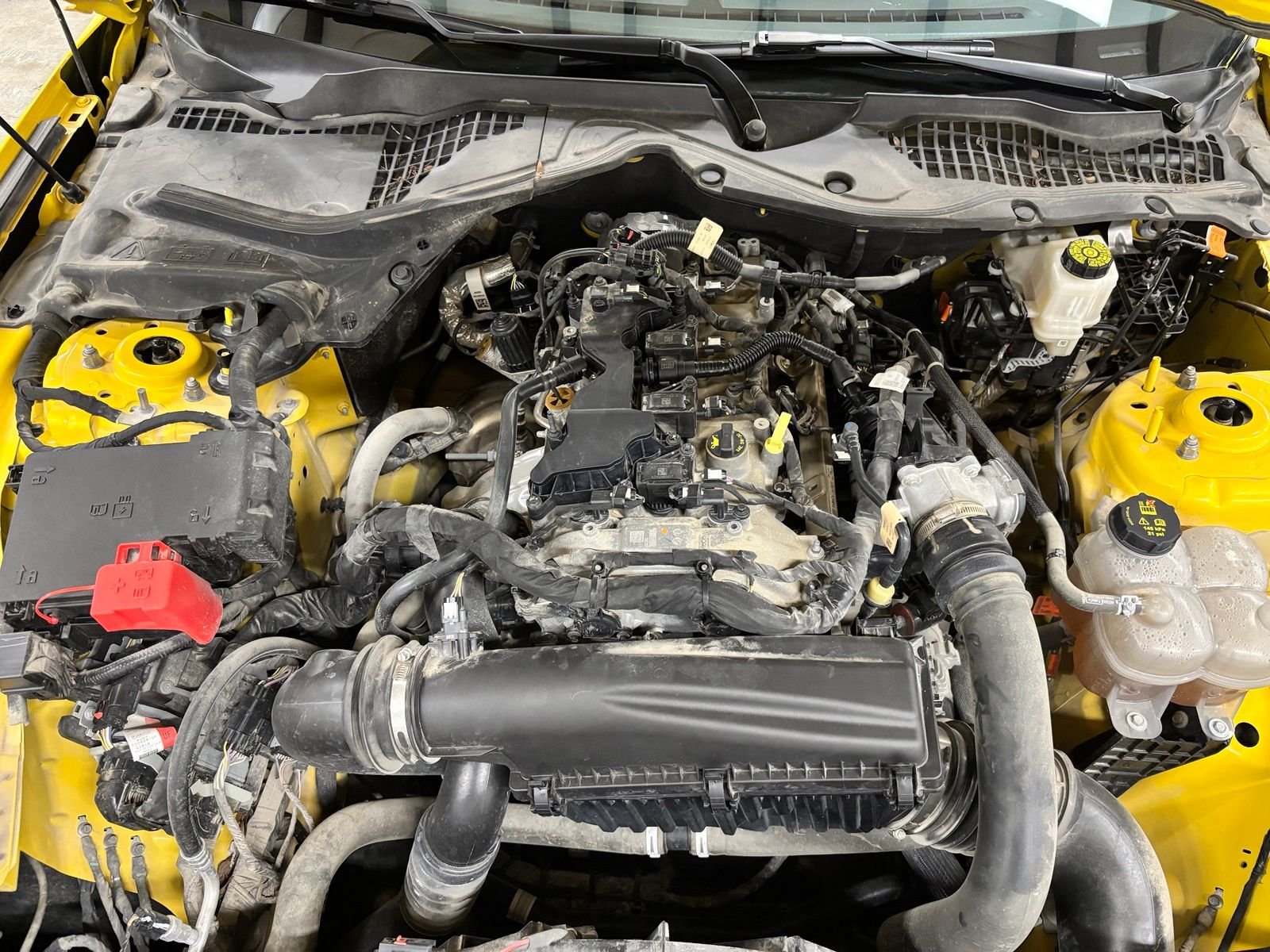 Used 2024 Yellow Ford EcoBoost image 23