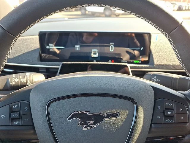 2025 Ford Mustang Mach-E GT - Photo 15