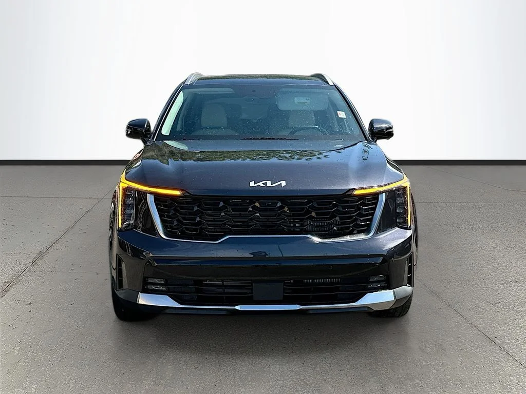 New 2026 Panthera Metal Kia SX image 2