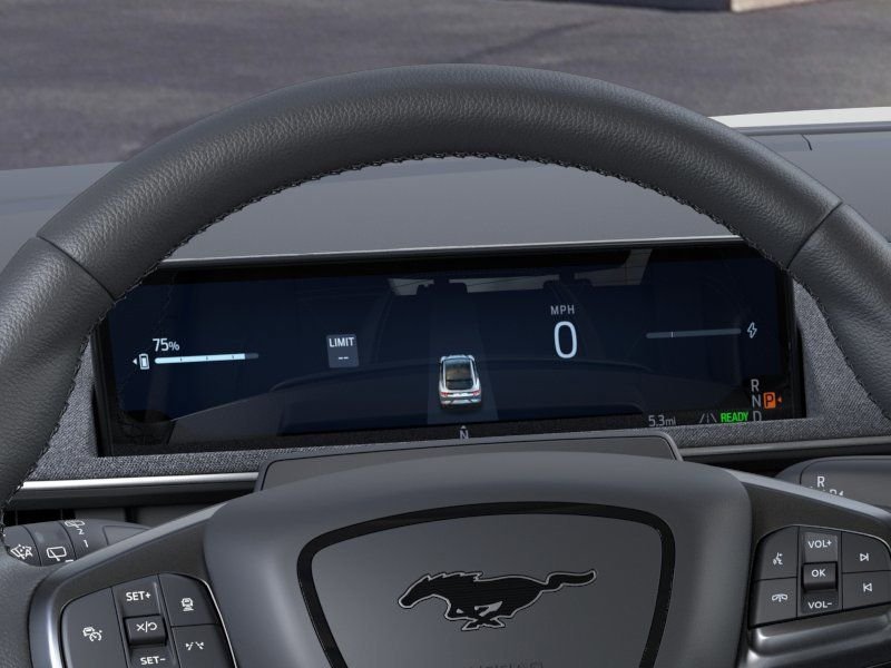 New 2026 Black Ford Premium image 13