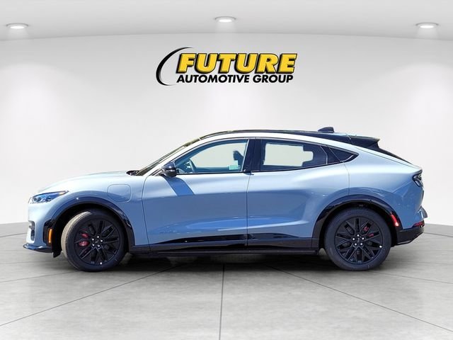 New 2025 Glacier Gray Metallic Tri-coat Ford Premium image 23
