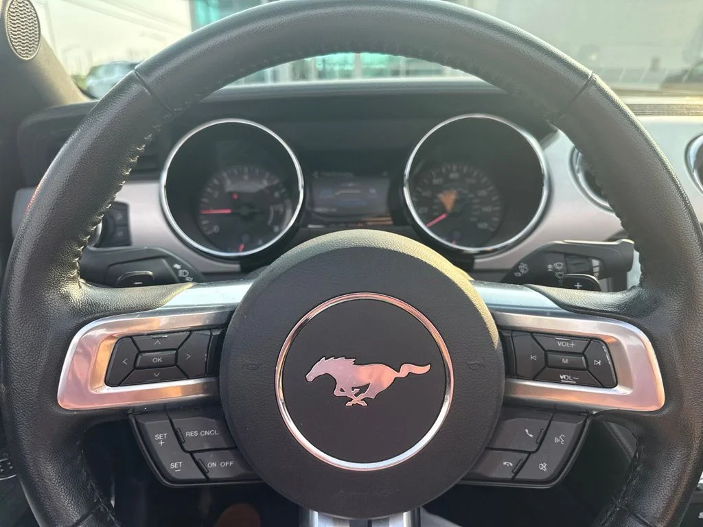 Used 2017 Red Ford EcoBoost Premium image 8