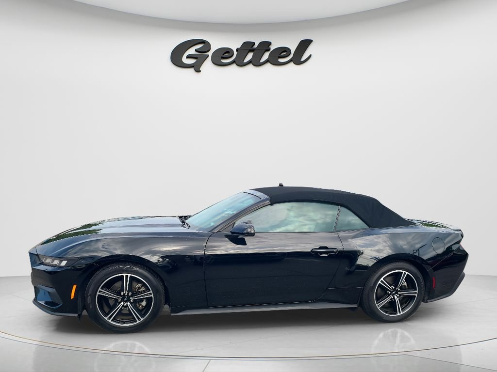 Used 2024 Black Ford EcoBoost Premium image 8