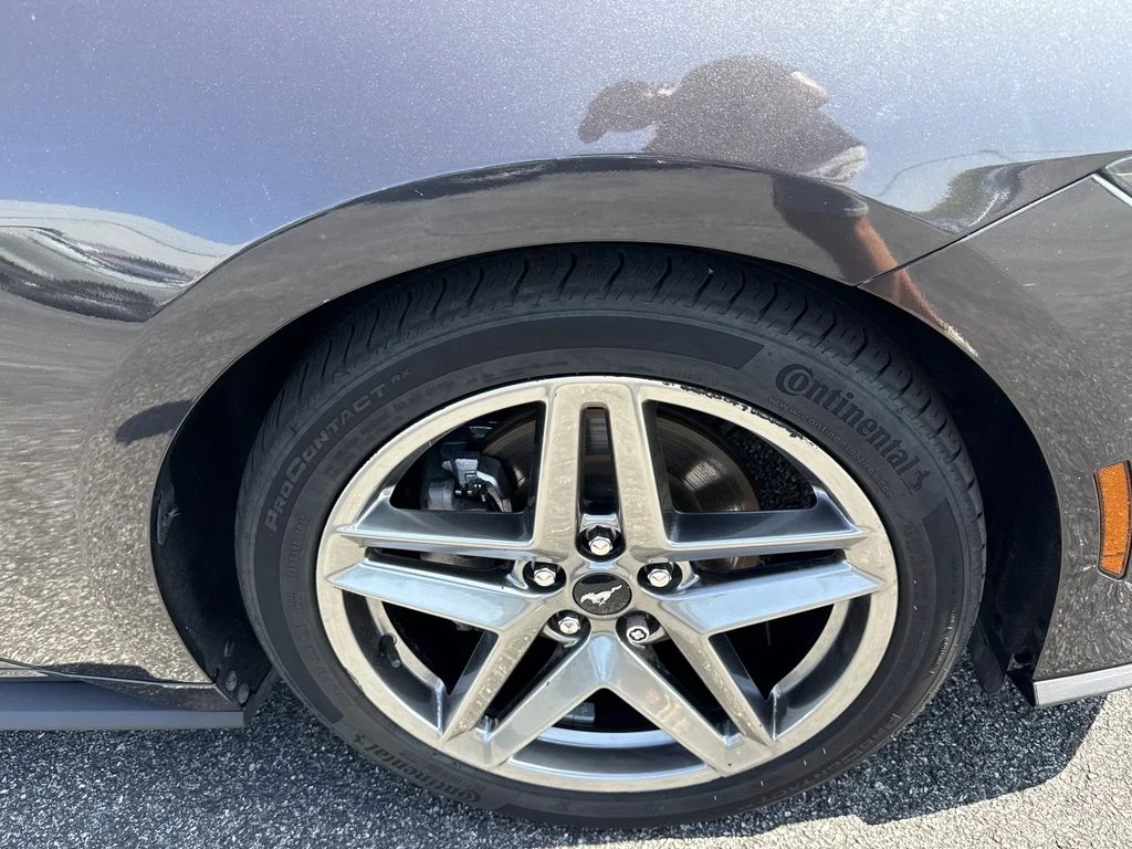 Used 2024 Gray Ford EcoBoost Premium image 12