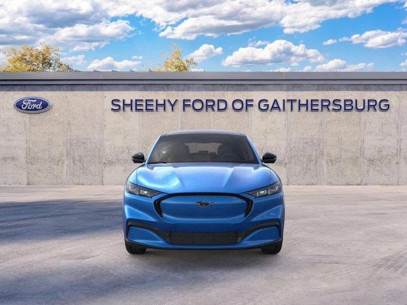 New 2026 Velocity Blue Metallic Ford Premium image 6