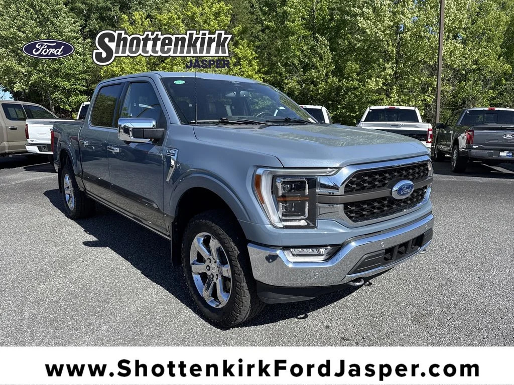 Used 2023 Gray Ford King Ranch image 1