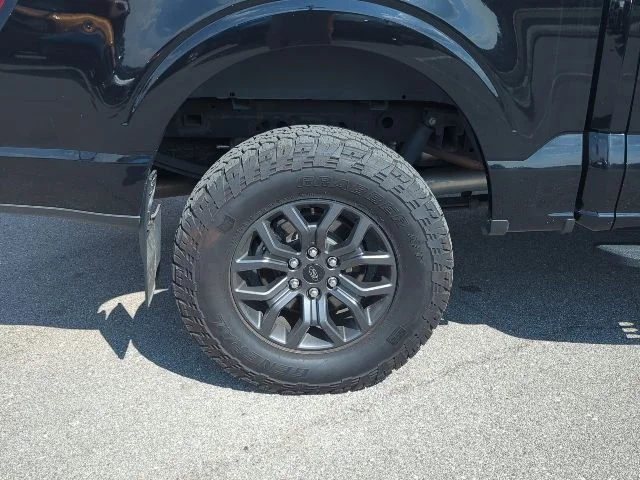 Photo 11