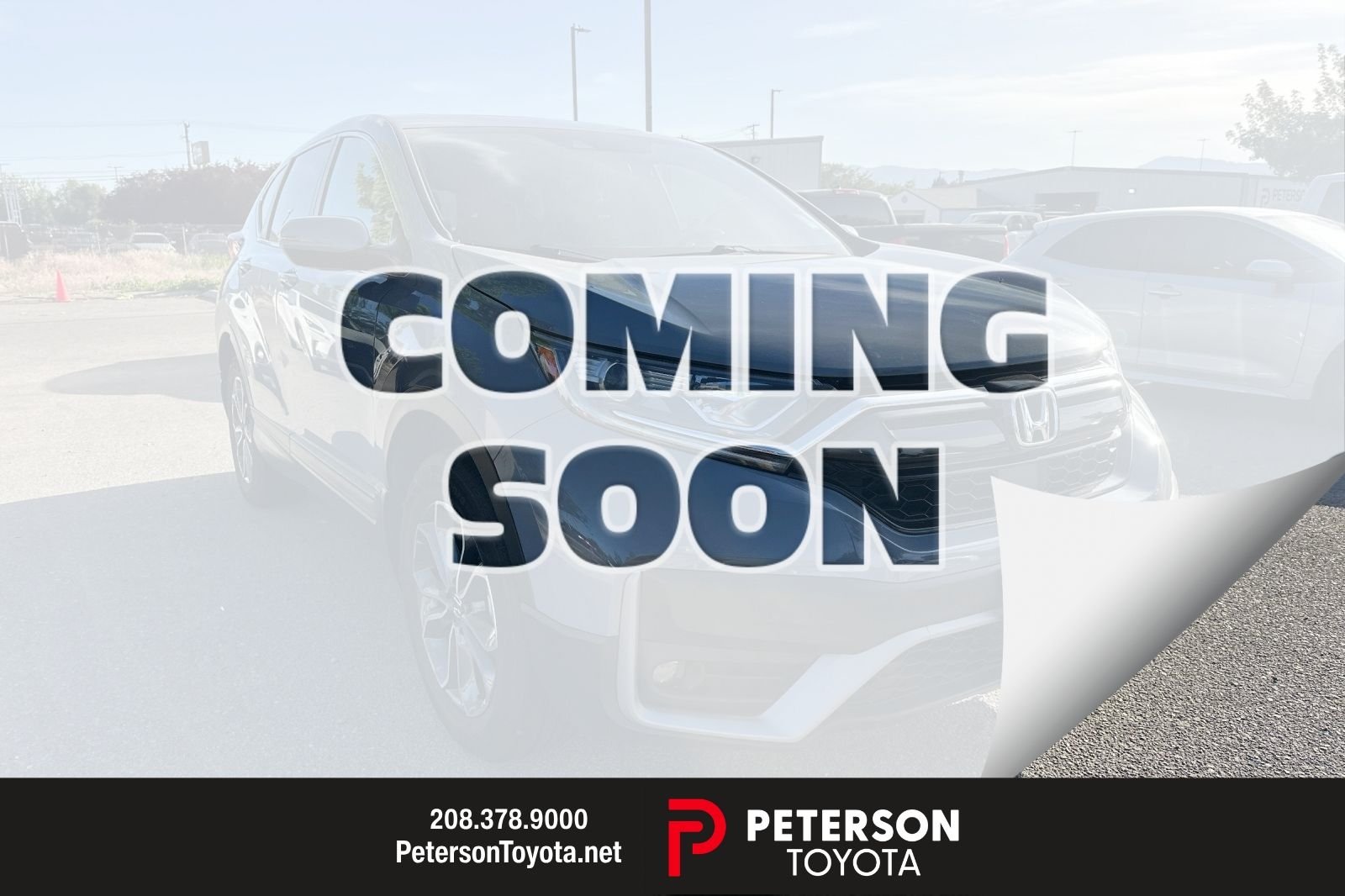 2022 Honda CR-V EX AWD's photo
