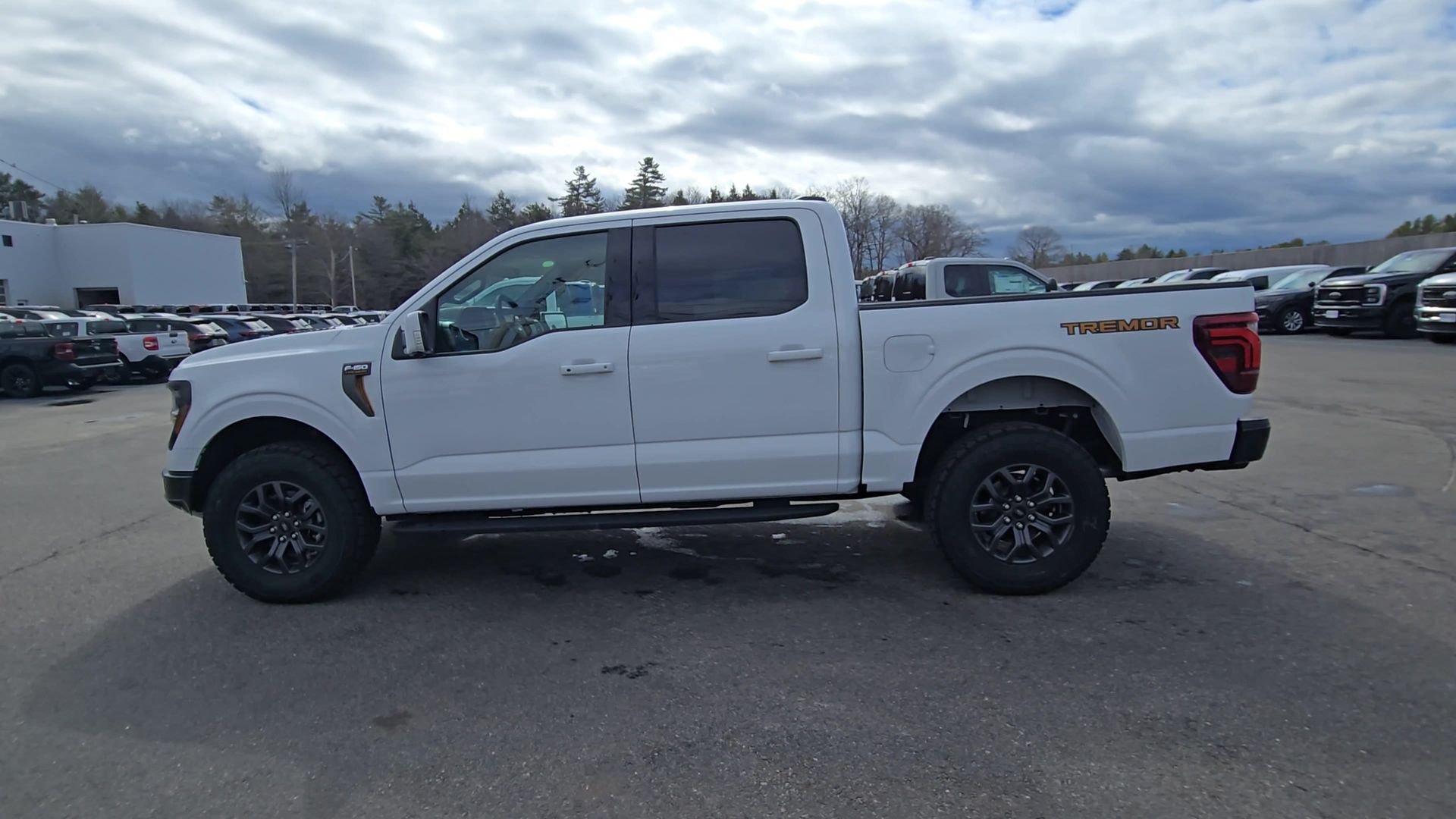 2025 Ford F-150 Tremor - Photo 17
