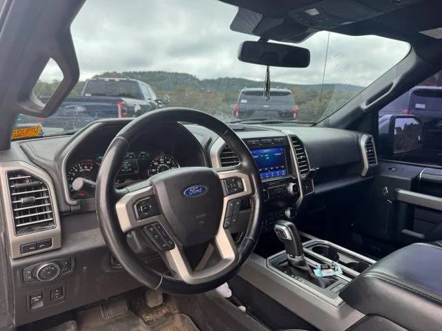 Used 2020 Silver Ford Platinum image 17