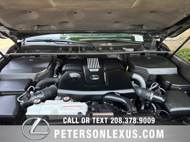 Used 2025 Black Lexus LUXURY image 10