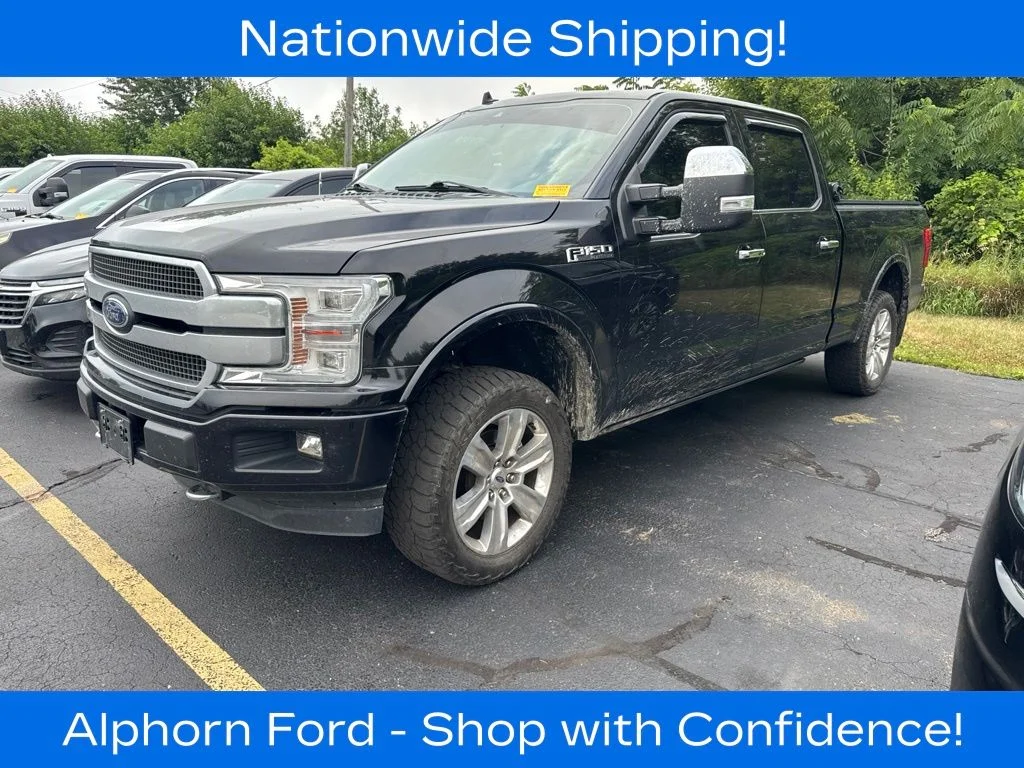 Used 2019 Black Ford Platinum image 2