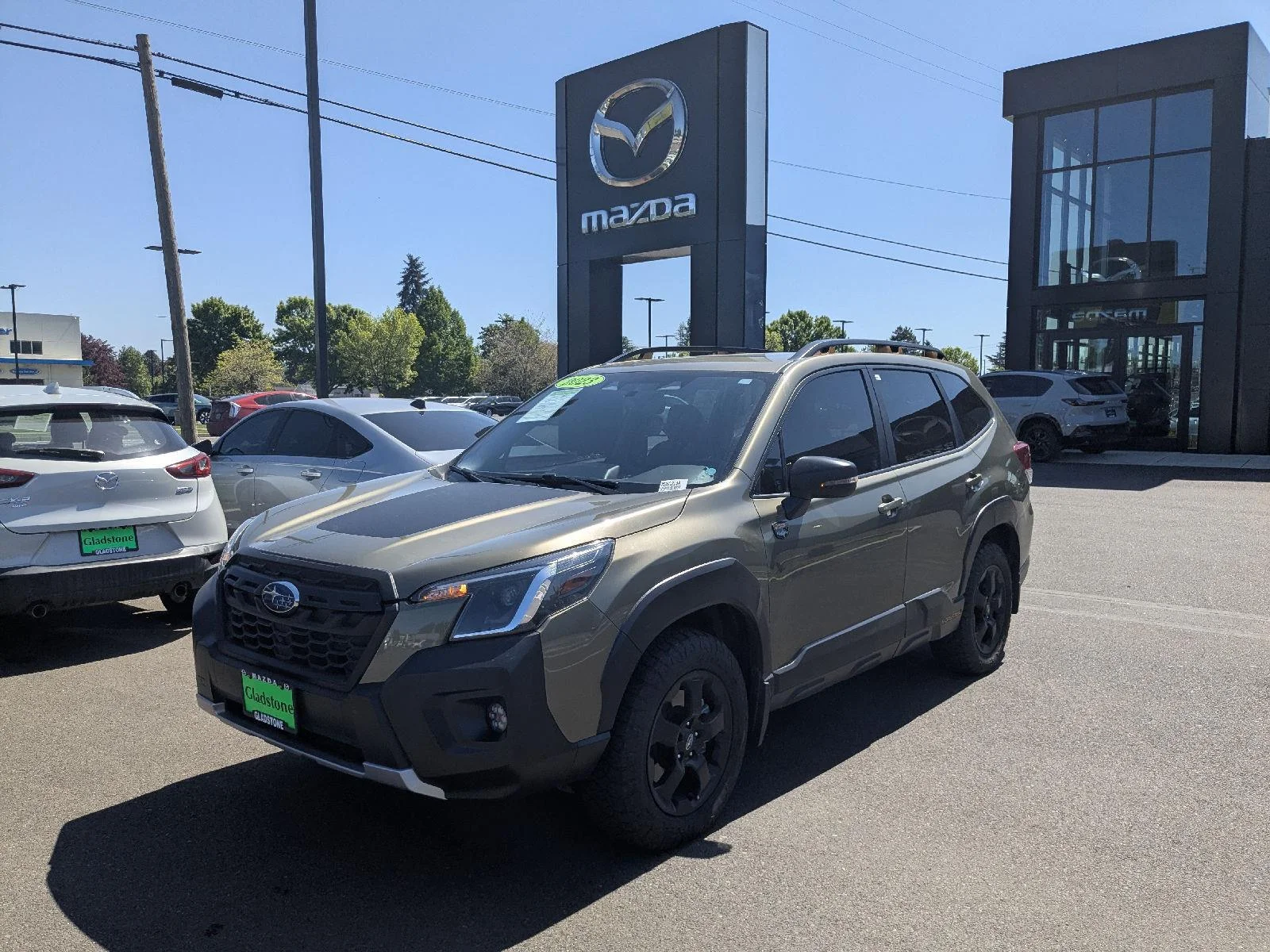 2023 Subaru Forester Wilderness's photo
