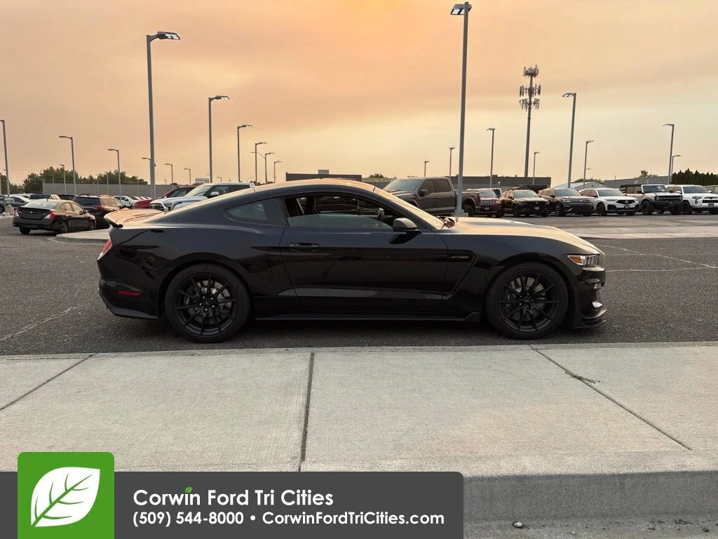 Used 2016 Shadow Black Ford Shelby GT350 image 4