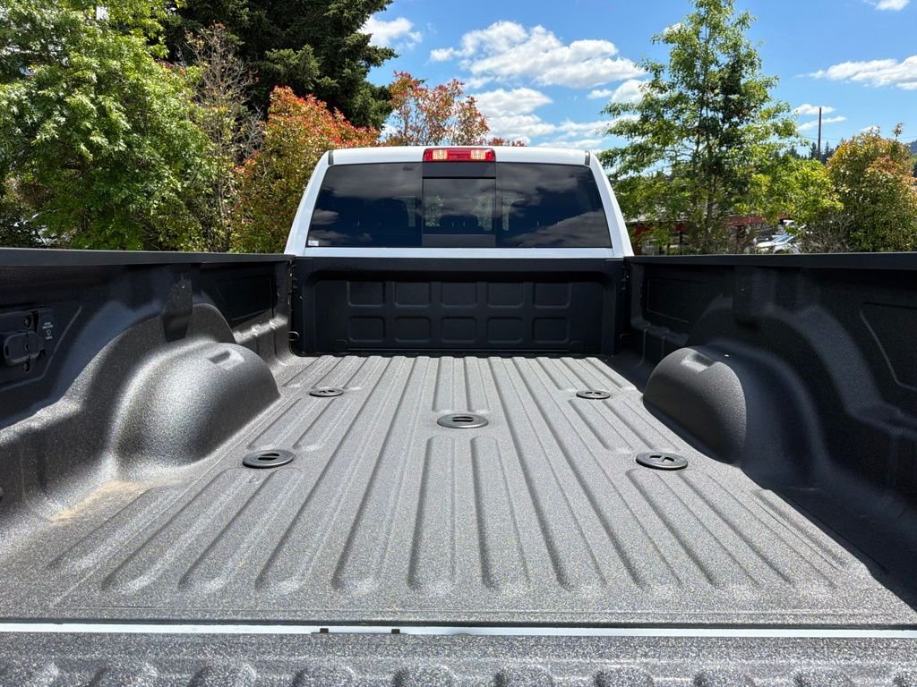 New 2026 Bright White Clear-Coat Exterior Paint RAM Tradesman image 10