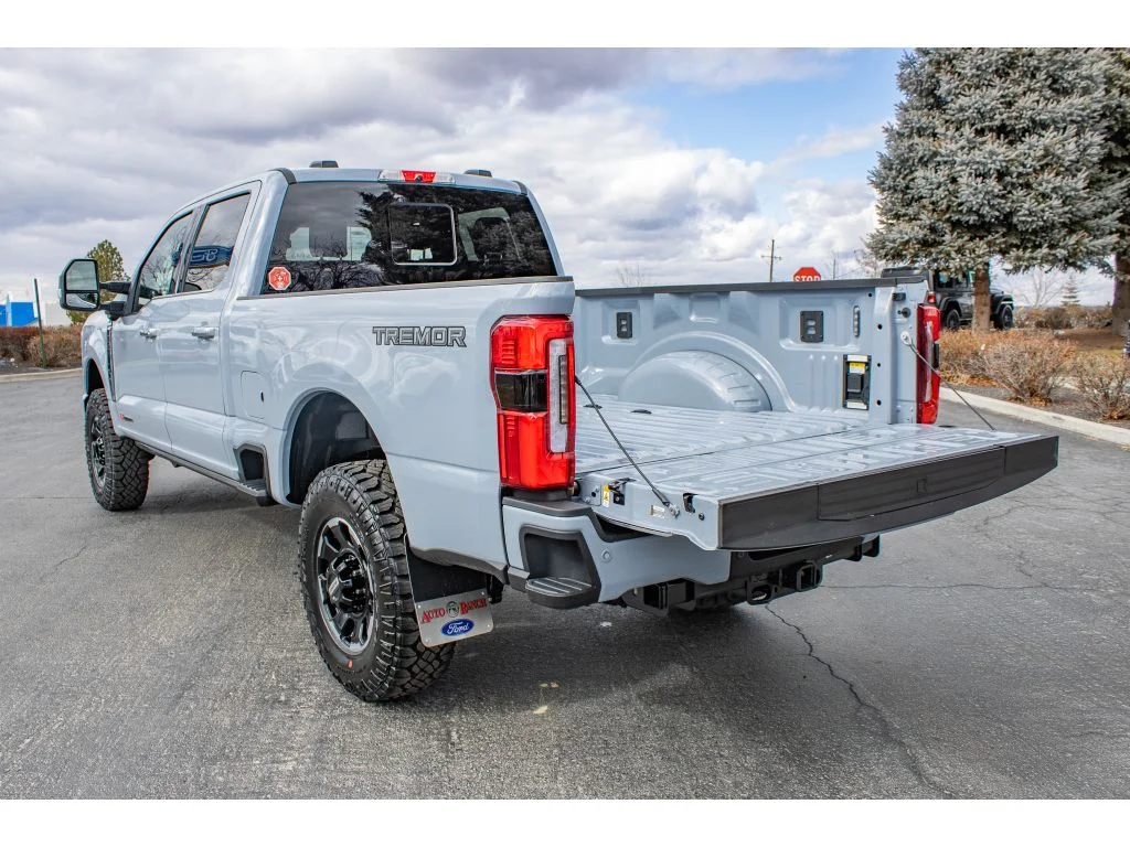 New 2026 Glacier Gray Metallic Tri-Coat Ford Platinum image 9