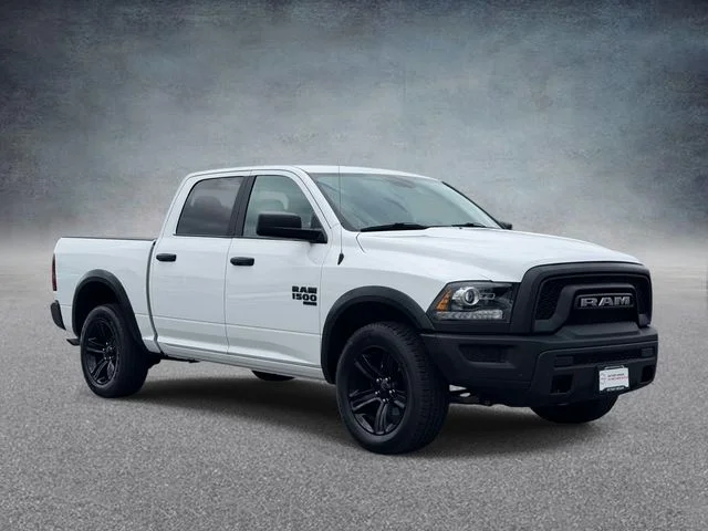 Used 2024 White Ram Warlock image 1