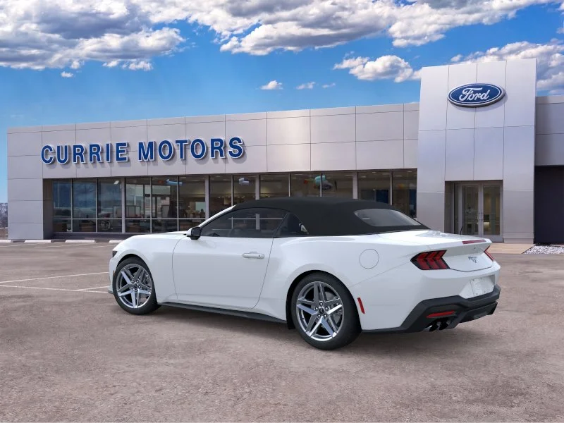 New 2026 Oxford White Ford EcoBoost image 4