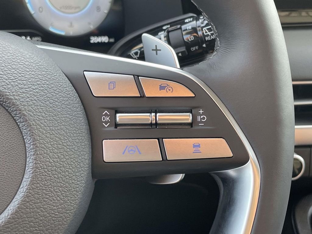 2025 Hyundai Palisade Limited - Photo 13