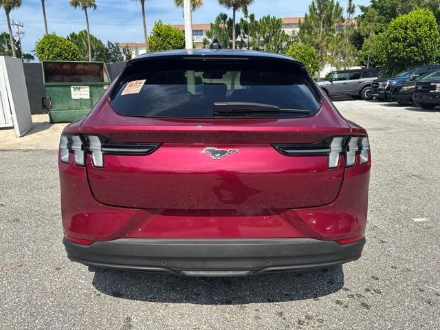 Used 2025 Magenta Ford Premium image 3