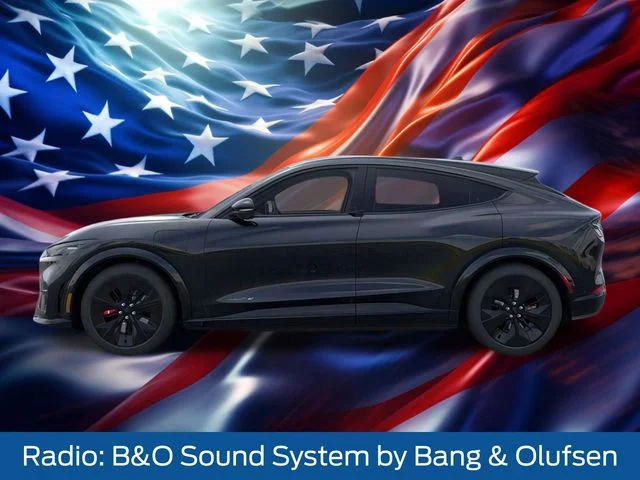 2025 Ford Mustang Mach-E GT - Photo 6