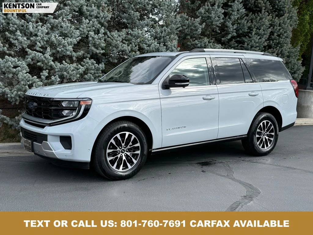 2025 Ford Expedition Platinum 4x4's photo
