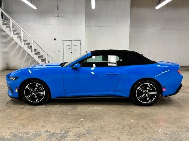 Used 2025 Blue Ford EcoBoost Premium image 4