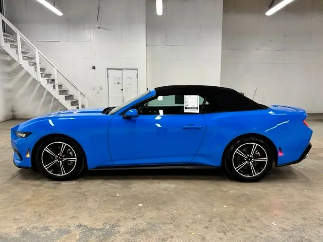 Used 2025 Blue Ford EcoBoost Premium image 4