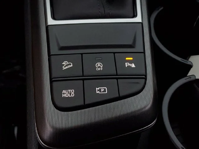 New 2027 Panthera Metal Kia SX Prestige image 31