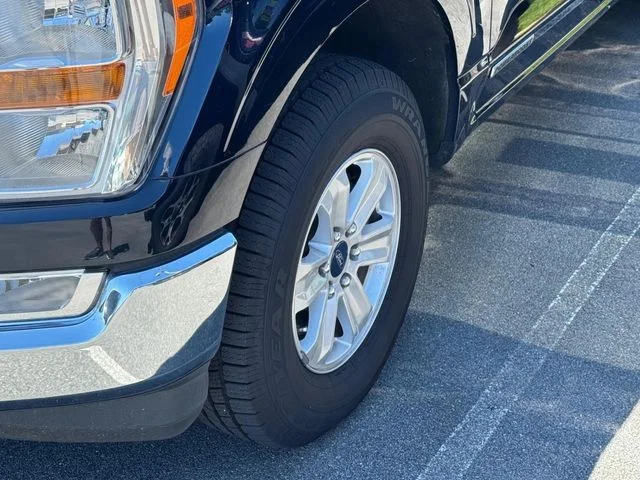 Used 2022 Blue Ford XLT image 4
