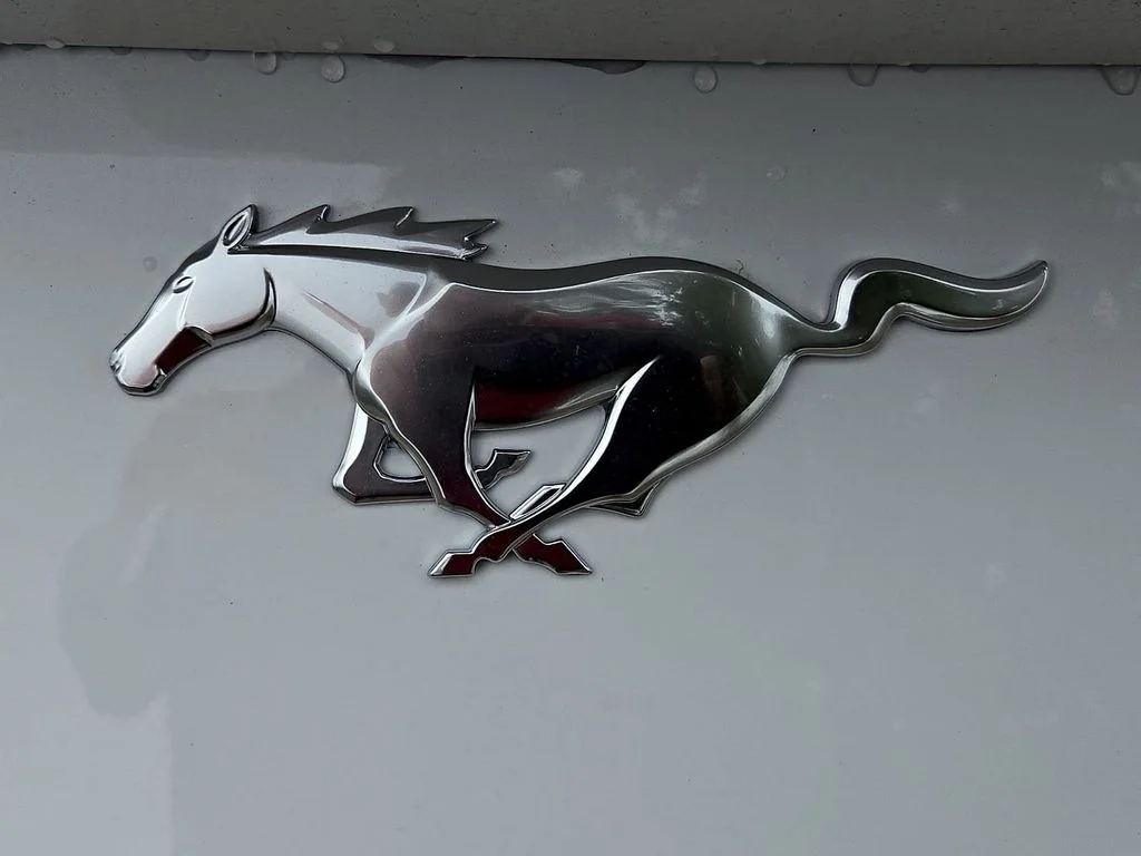 New 2026 Oxford White Ford EcoBoost® Fastback image 8