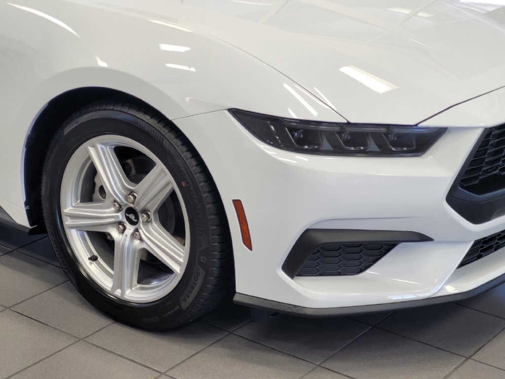 New 2026 Oxford White Ford EcoBoost® Premium Fastback image 5
