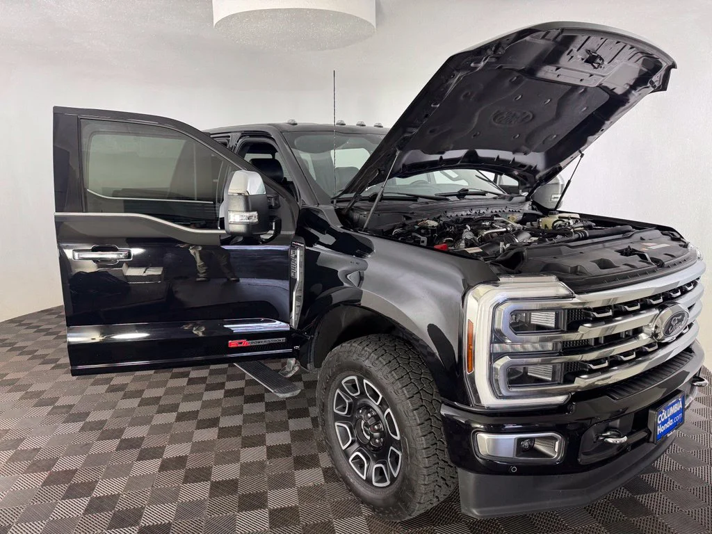 Used 2024 Black Ford Platinum image 13