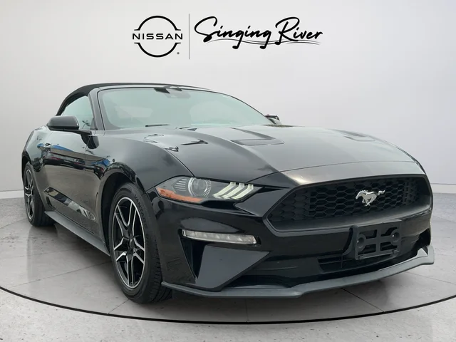 Used 2022 Black Ford EcoBoost Premium image 1