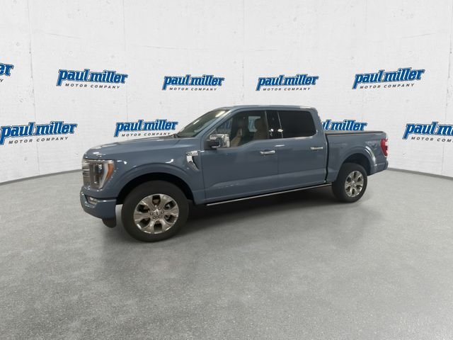 Certified Used 2023 Gray Ford Platinum image 6