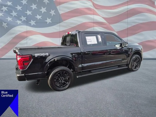 Used 2025 Black Ford Platinum image 3