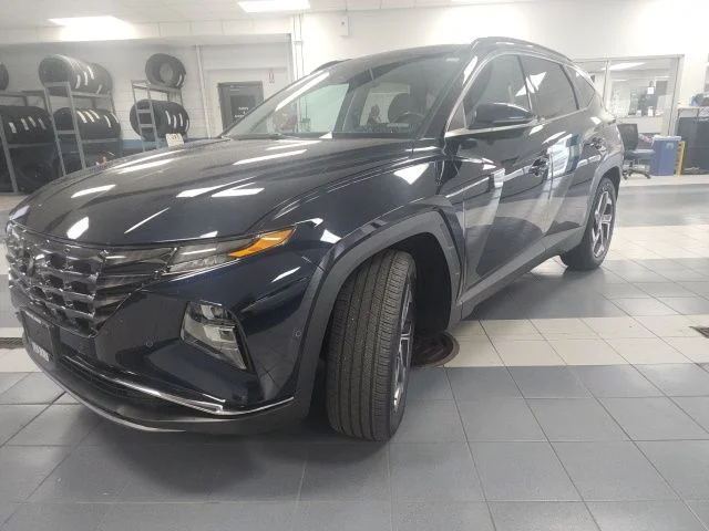 Used 2023 Deep Sea Hyundai Limited image 7