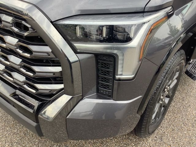 Used 2023 Magnetic Gray Metallic Toyota Platinum image 39