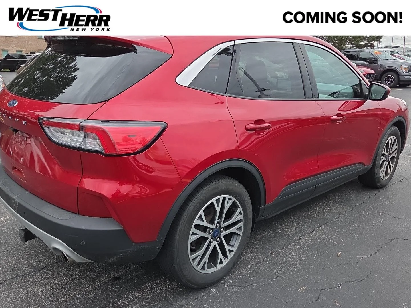 Used 2021 Ford Escape SEL with VIN 1FMCU0H6XMUB23535 for sale in Hamburg, NY