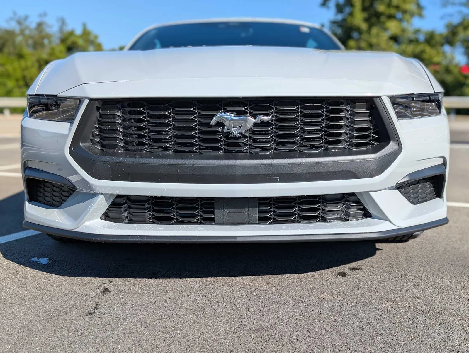 New 2026 Avalanche Gray Ford EcoBoost® Premium Fastback image 2