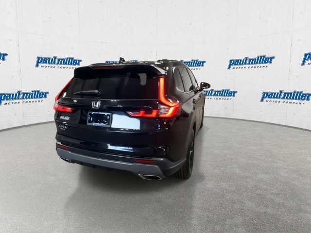 Used 2023 Black Honda Sport image 10