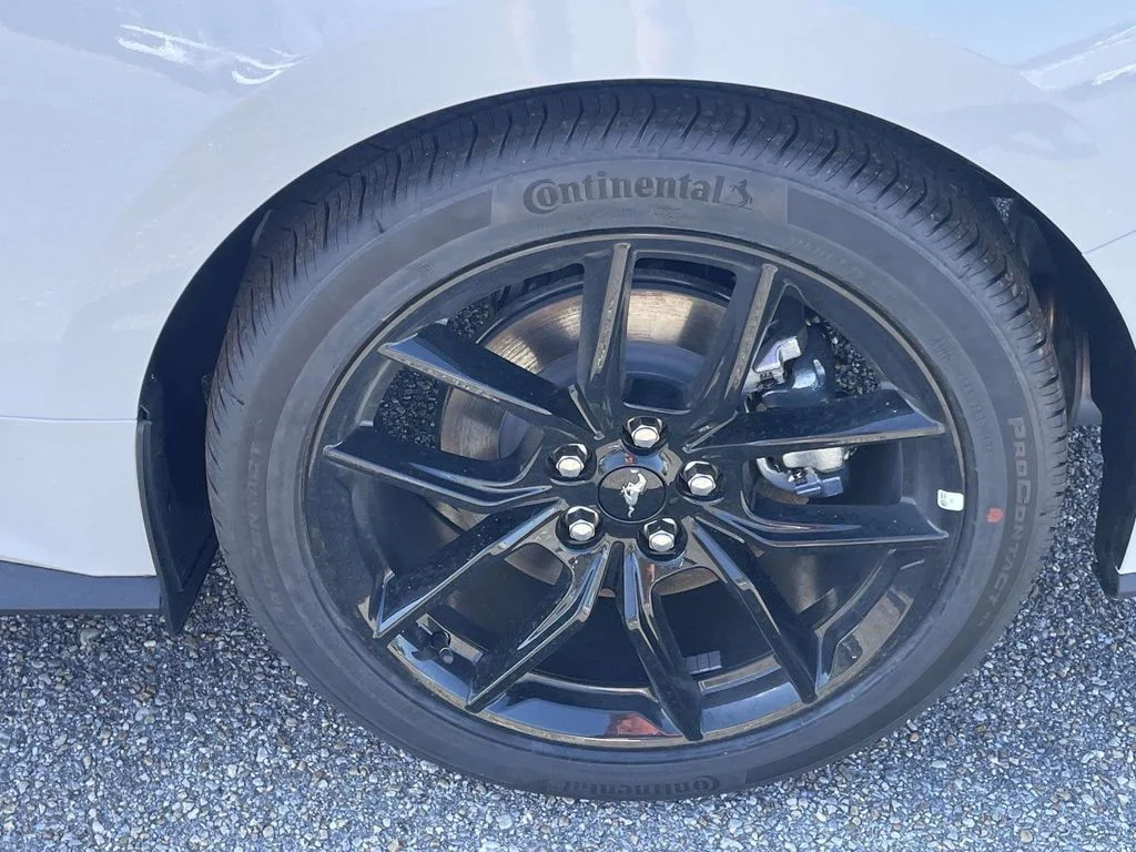 New 2026 White Ford EcoBoost image 9