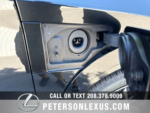 New 2026 Caviar Lexus 450e Premium image 11